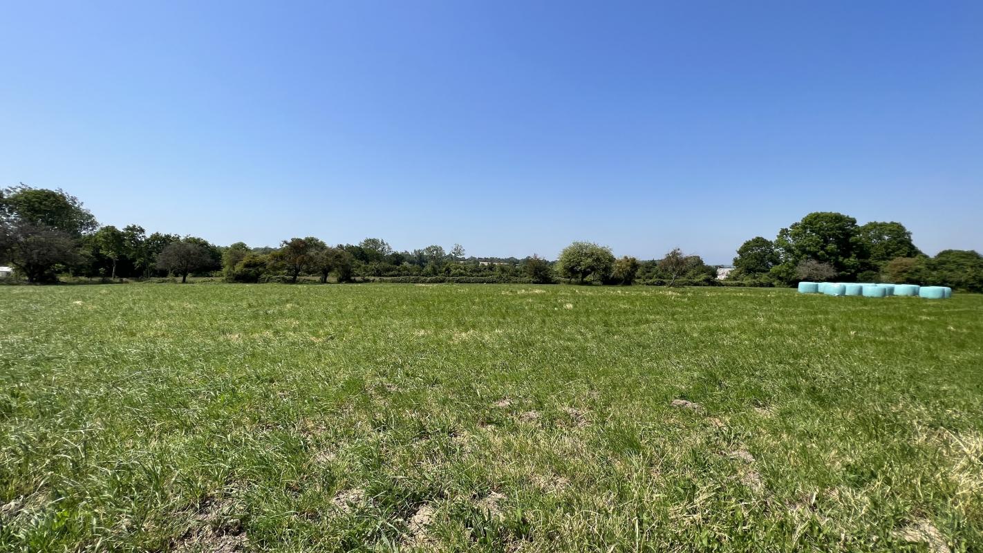 TERRAIN DE 513 M2 A QUETTREVILLE SUR SIENNE